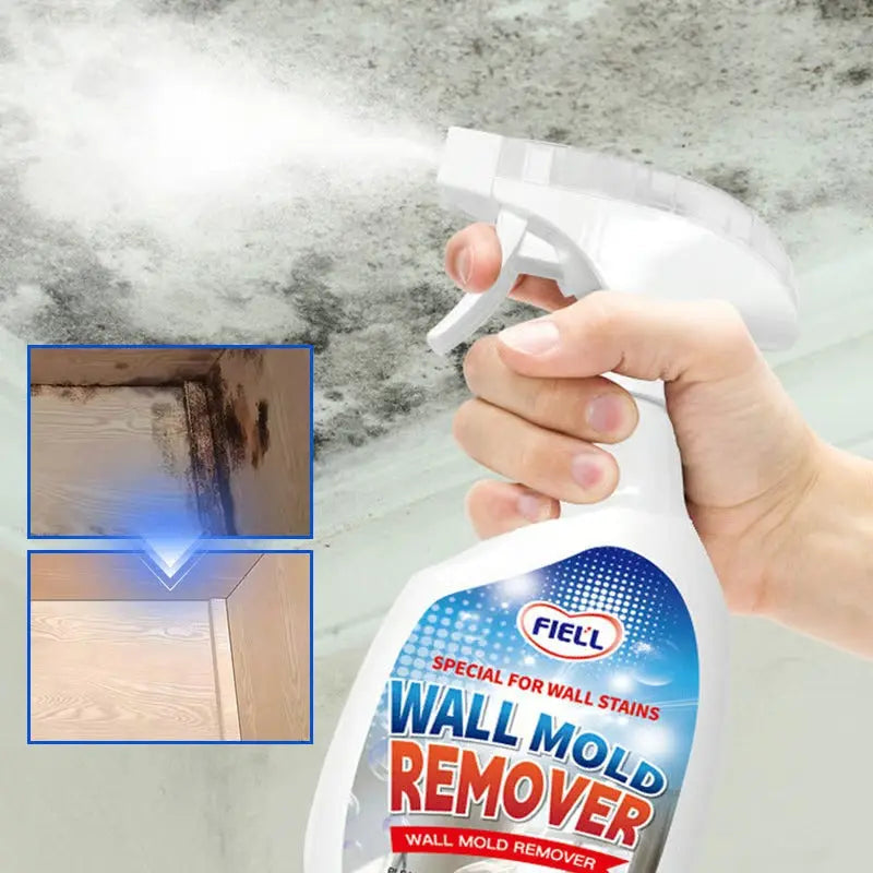 Effektives Anti-Schimmel Spray 240ml für Wände & Tapeten. Schimmelentferner für Haushalt & Bad.