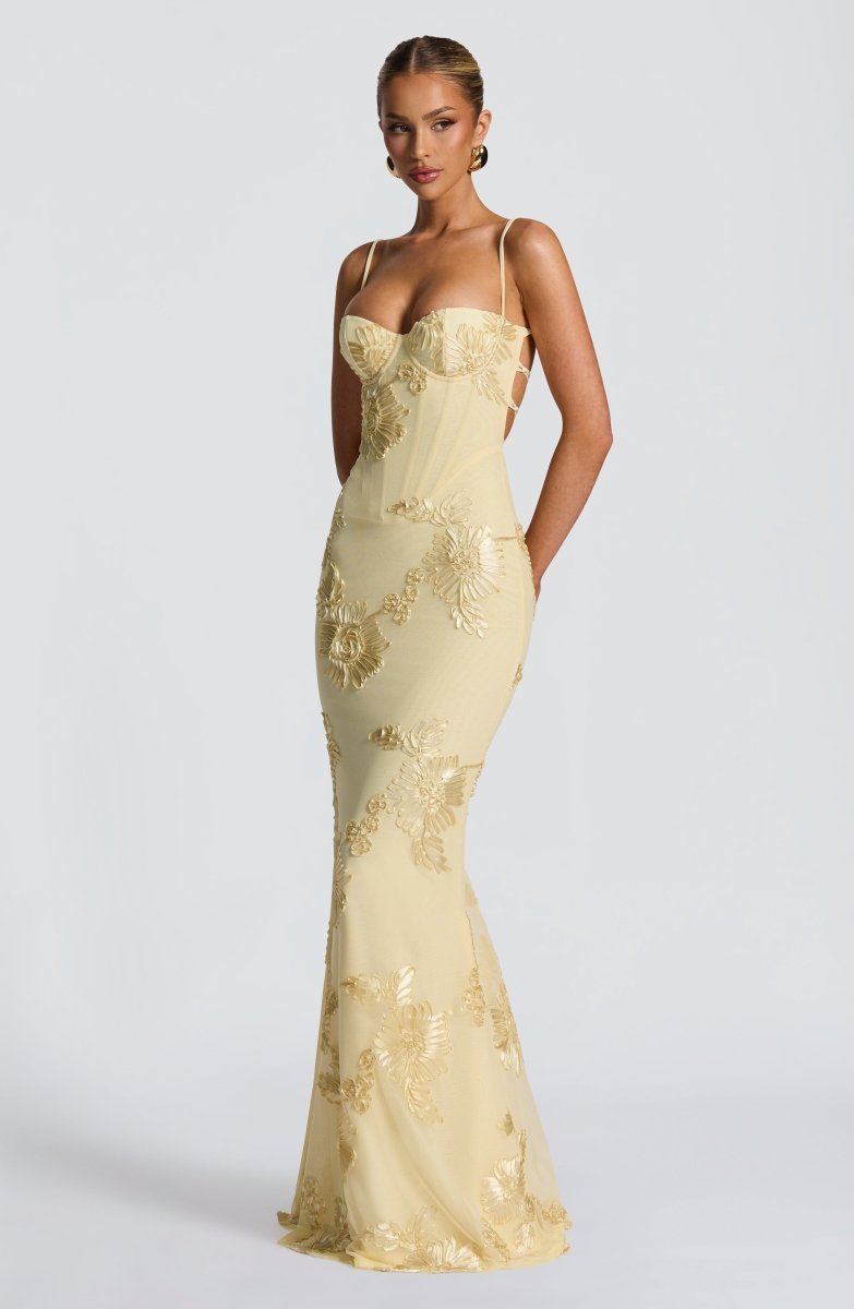 Stilvolles Hochzeitsgast-Maxikleid für Damen. Figurbetont, mit Spitze und offenem Rücken.