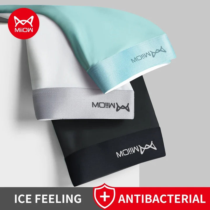 Sportliche Herren Boxershorts im 3er Pack, atmungsaktiv & antibakteriell, perfekt für Training & aktiven Lebensstil.
