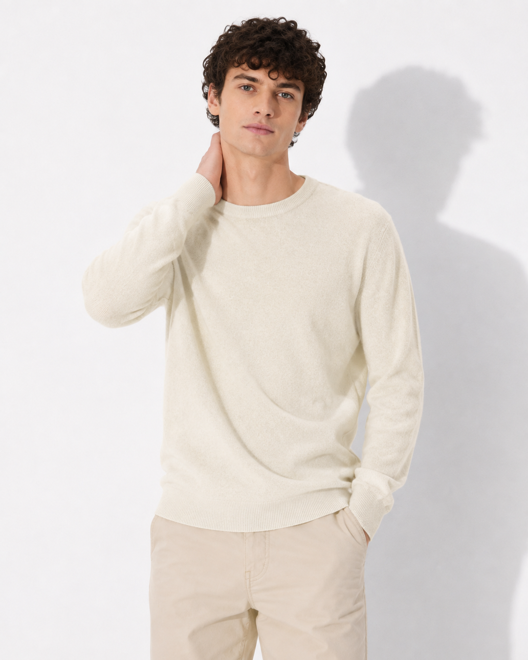 Eleganter Damen Pullover, langarm, hoher Kragen. Ideal für Büro & Freizeit. Klassische Wintermode für Frauen.